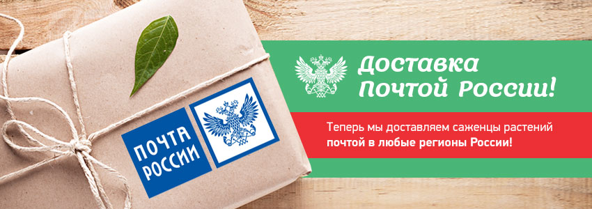 Доставка почтой России