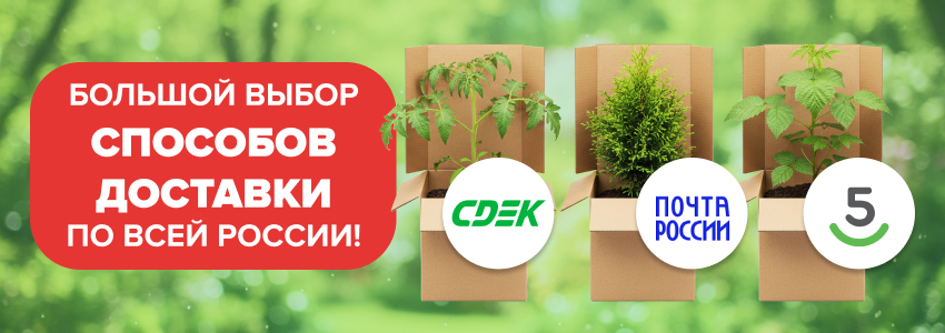 Доставка по всей России