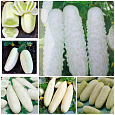 Огурец  Белый хруст F1